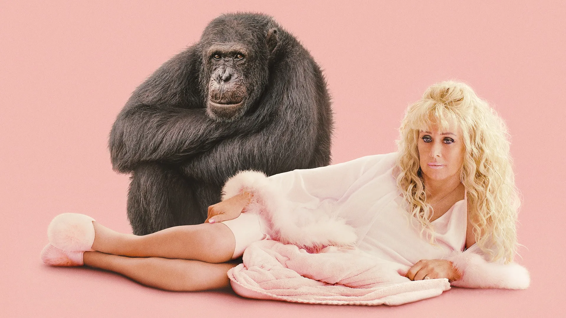 Chimp Crazy (2024)